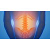Organen stug - Pijn in de rug