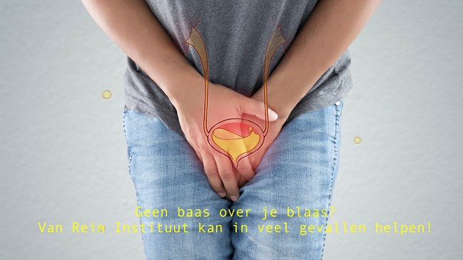 Baas over blaas Van Rein Instituut