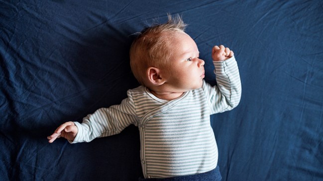 iStock-1147134552